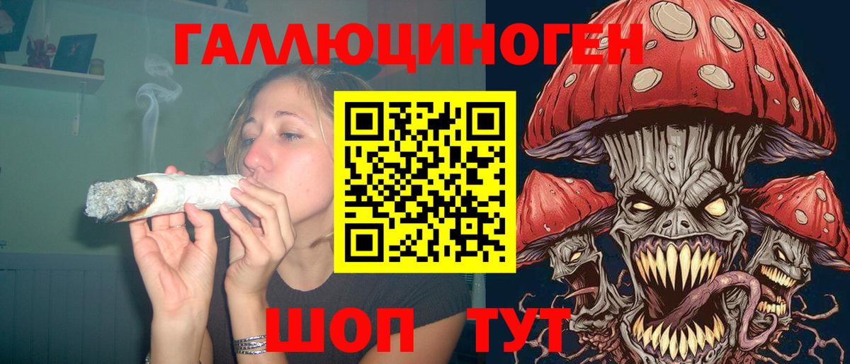 Галлюциногенные грибы Psilocybe Северобайкальск