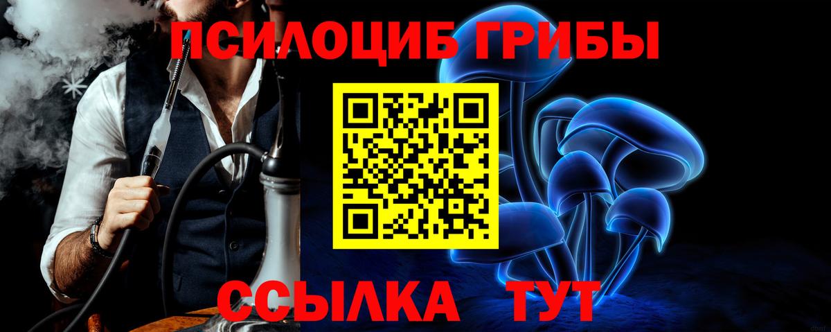 Северобайкальск  Псилоцибиновые грибы Cubensis  Вход с VPN 
